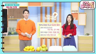 피로 해소부터 근육통 &amp; 관절통 완화까지! 모과의 놀라운 효능 알아보기 [무엇이든 물어보세요] | KBS 231123 방송