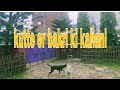 Kutte OR Bakri ki Kahani New Video