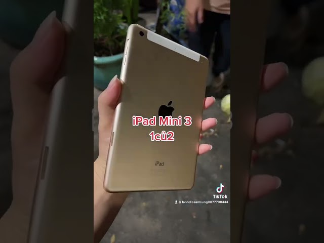 iPad mini 3