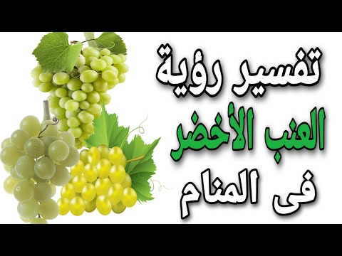 فيديو: سيكون العنب دائمًا أخضر