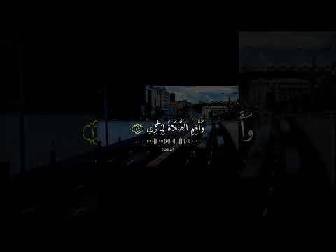 وأنا اخترتك فاستمع لما يوحى القارئ أحمد خضر حالات Quran قران قرآن قرآن كريم Kuran 