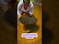 Ikan Paling Protektif di Dunia #fishing #faktaunik  #shorts