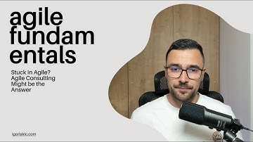 What Agile Consultants Really Do (And When You Need One)