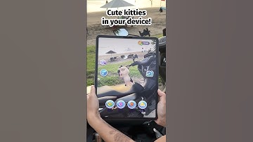 My Cat | Virtual Pet Game - Explore the World with Your Sea Kitty!