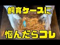 やまくわがクリアスライダーを愛用する理由【クワガタ飼育】