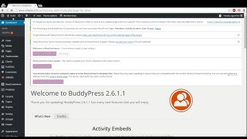 KLEO Wordpress Theme - Demo Company Installation