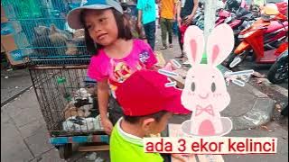 GLENN DAN CAREN BELI KELINCI DI PASAR HEWAN JATINEGARA