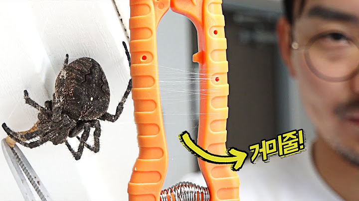 초대왕거미와 같이사는 남자! 거미줄로 거미를 조종한다..
