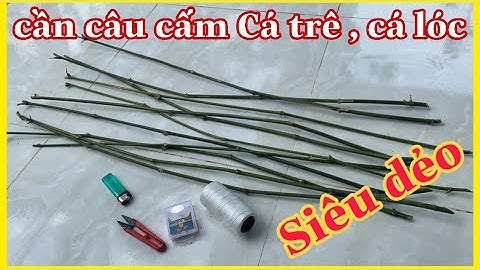 Tự chế cần câu cấm cá trê cá lóc bằng tre đơn giản ✅ phiêu xứ dừa