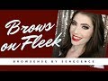 How to get PERFECT BROWS?! BrowSense by SeneGence Application