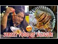 The famous chicken tikka stall of siliguri  street food of siliguri  foods of siliguri