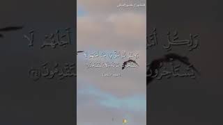 ما تيسر من سورة الأعراف لفضيلة الشيخ / عاشور محمد عبده الجبالي