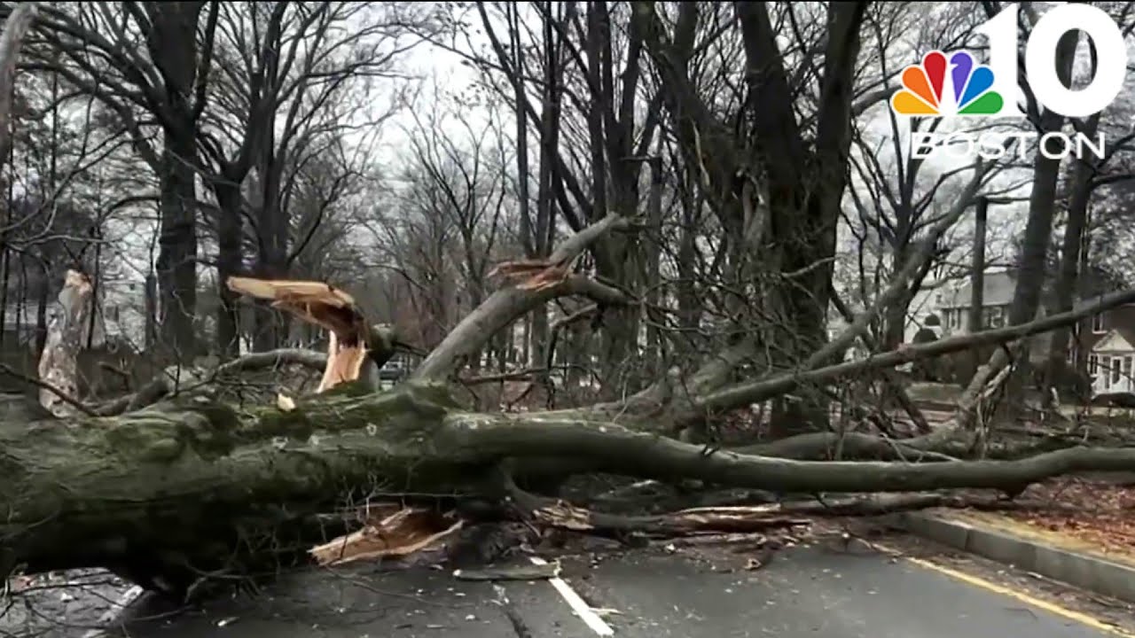 Strong winds bring down trees as heavy rain causes flooding - YouTube