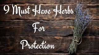 9 Must Have Herbs For Protection