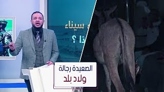 أحمد سمير بعد التنمُّر والإساءة لأهالي الصعيد في صحف قومية: الصعيدة رجالة ولاد بلد بجد