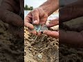 Digging DEEP for a mystery signal!
