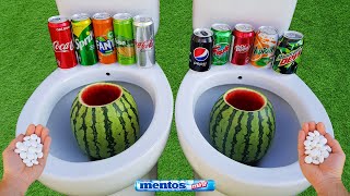 Watermelon VS Coca Cola, Fanta, Pepsi Max, Mtn Dew, Sprite, Yedigün, Fruko and Mentos in toilet