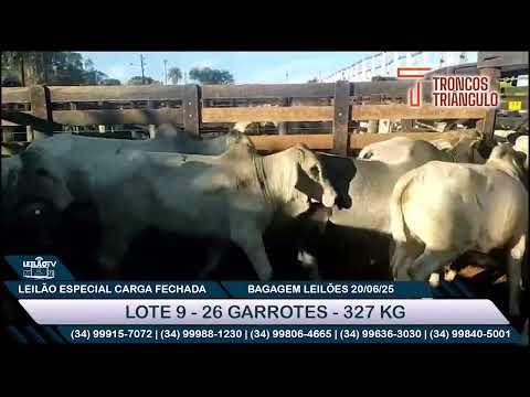 LOTE 9 -