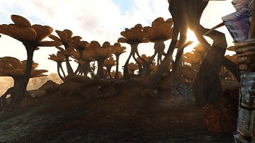 Morrowind - Tamriel Rebuilt - Coronati Bassin (2025 graphics) (OpenMW)