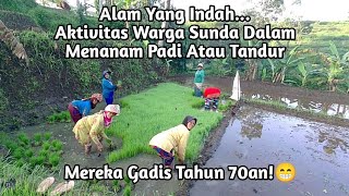 Aktivitas Warga Sunda, Tandur Menjadi Matapencaharian Mereka Para Gadis Tahun 70an