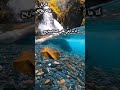 حرك ينابيع الشفا يا يسوع  ترانيم جديدة  يسوع بيحبك          اكسبلور موسيقى   ترندات مصر تصميمي سمعها
