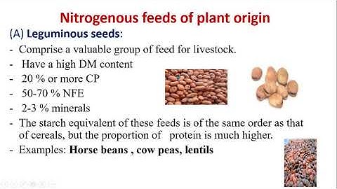 Classification of feed stuffs Dr.Sabry