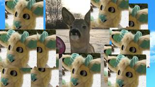 Furry Tierlist Tierlist...