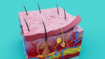 Master Outpatient Infectious Diseases | Continuing Education Company | Online CME Course