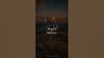 أَءِلَـٰهٌۭ مَّعَ ٱللَّهِ || سورة النمل || 19 رمضان 1445 هـ 🕌🍃..