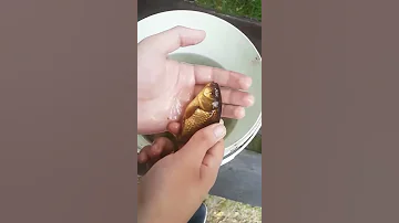 Шок!!! Мутант из Карпат ! Рыба без глаз!