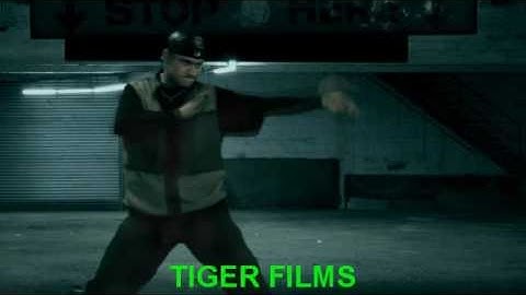 GREEN SCREEN KUNG-FU