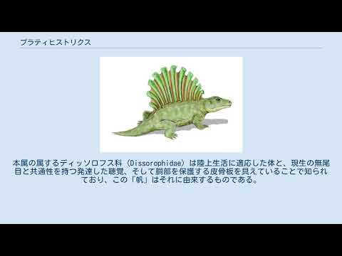 プラティヒストリクス YouTube