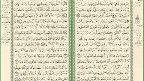 صفحة رقم 5,6 من سورة البقرة مكررة للشيخ مشاري العفاسي