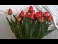 Как сделать тюльпан из фоамирана