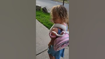 Snake Goes To School #shorts