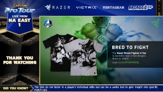 Capcom Pro Tour 2018 Online Ranking Na East 1