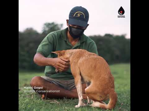 Meet Chiku | #Shorts