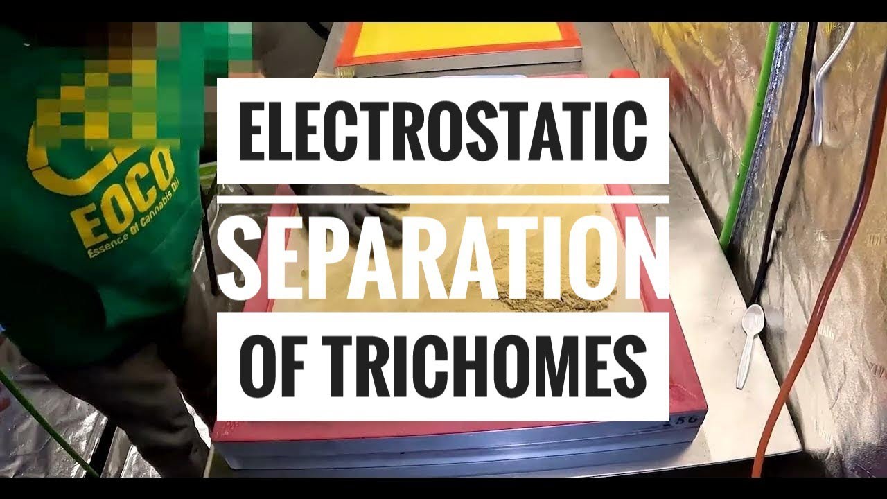 Static Sift Tutorial - Tribolelectrostatic Separation of Trichome Heads 