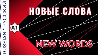 New words / Новые слова