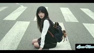Fmv New Kdrama Cute Love Story Dream Knight
