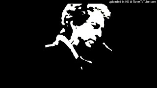 Bob Dylan live, Born In Time, Pullman 2000