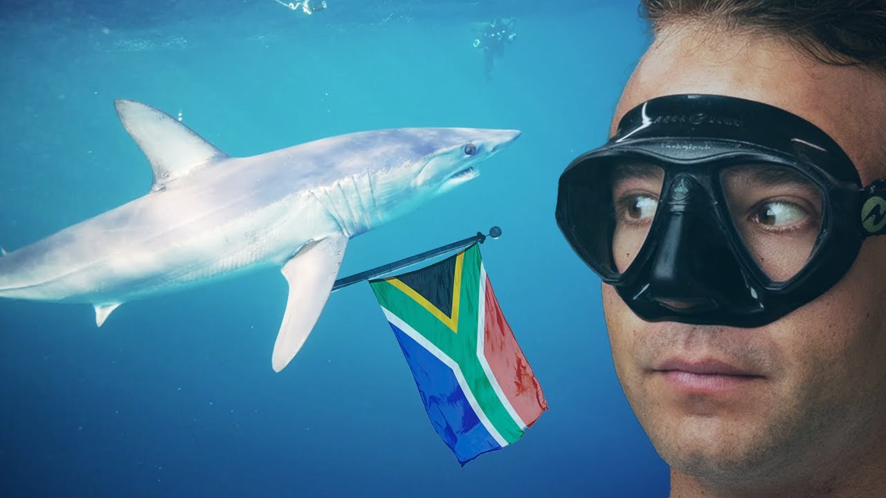 Potapljal sem se v Južni Afriki!