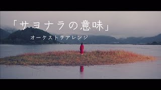 乃木坂46 サヨナラの意味　オーケストラアレンジ