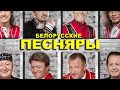 Концерт Белорусских Песняров. Нижний Тагил, ДПП. 12.11.2017