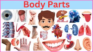 Body Parts Name || Body Parts Name in English by InfoZillien 14,127 views 2 weeks ago 6 minutes, 19 seconds