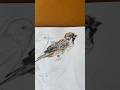 #watercolor #birdpainting #art #watercolor #artist #natureart #artist #artistlife #artistonyoutube