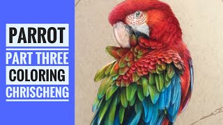 PARROT - Part 3: Bird Coloring // Chris Cheng