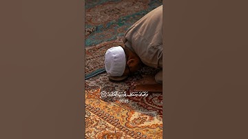 #سعد#الغامدي#سورة#الانعام#الايه(١٦٢)#