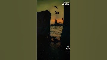 تلاوات خاشعة للشيخ عبدالناصر حرك 🌺♥🙏