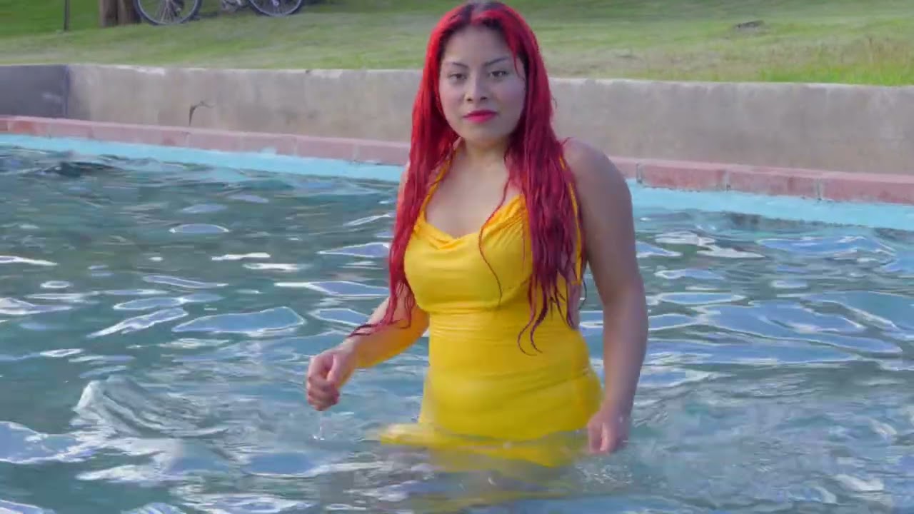 Chilena El pájaro Chogüi